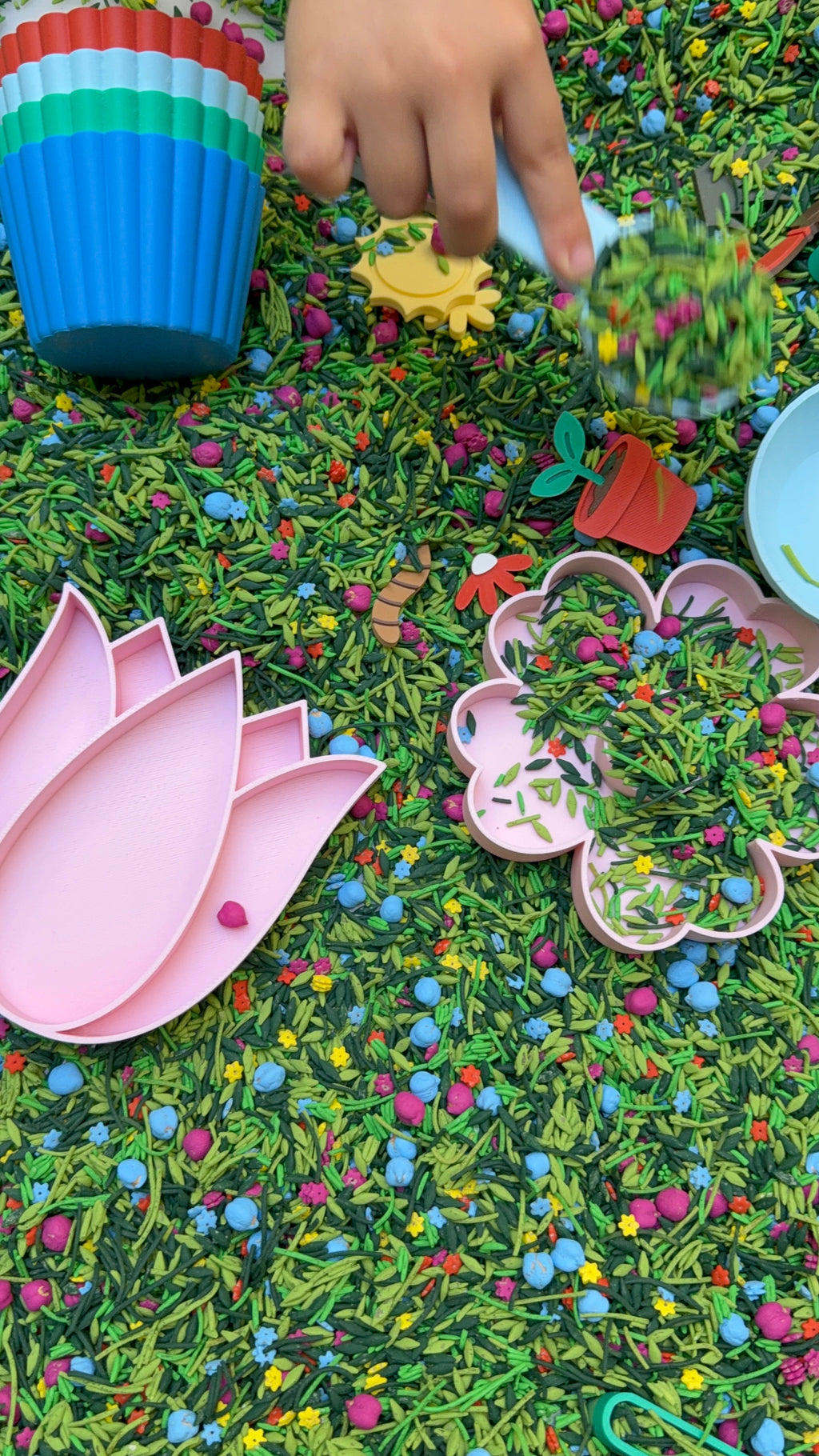 Colección de Primavera — Charcos y Pétalos