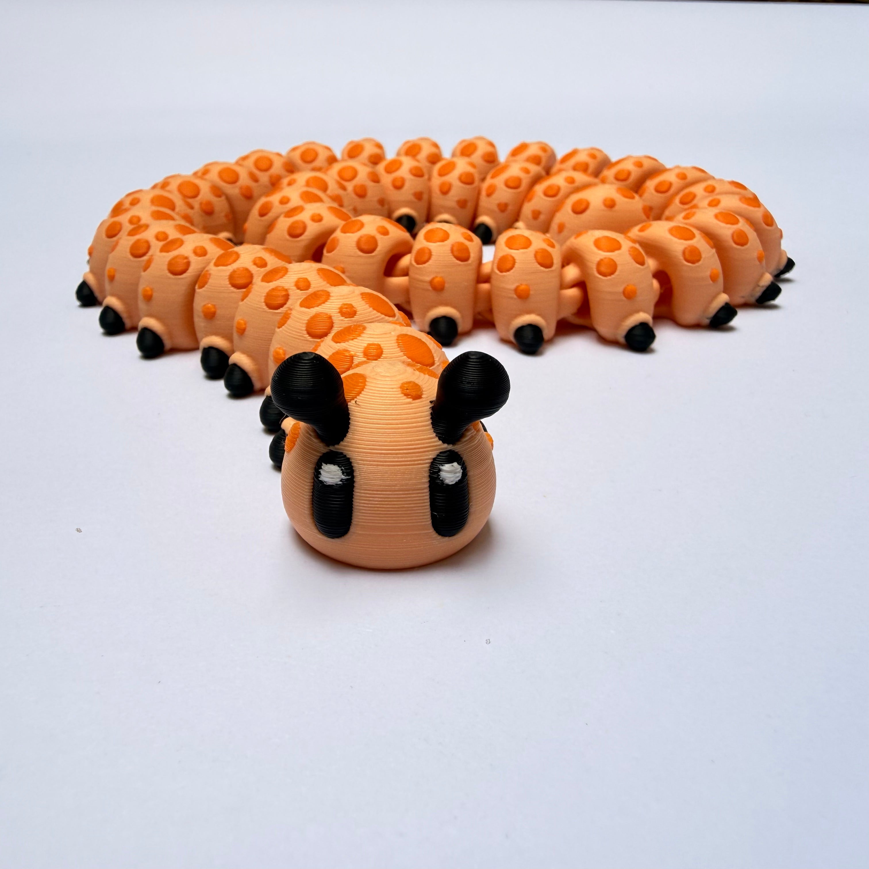 Oruga articulada